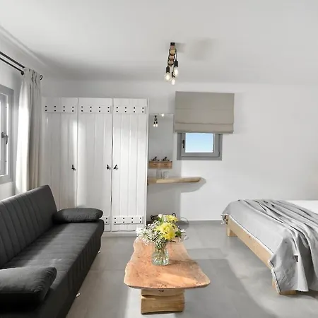 Granite Village Mykonos アパートホテル